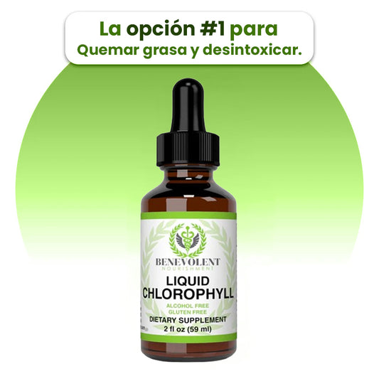 Adelgaza Rápido – Detox Natural y Energía Instantánea